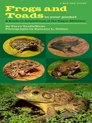 cover image of Frogs and Toads in Your Pocket